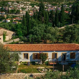 Shkolla & Hostel